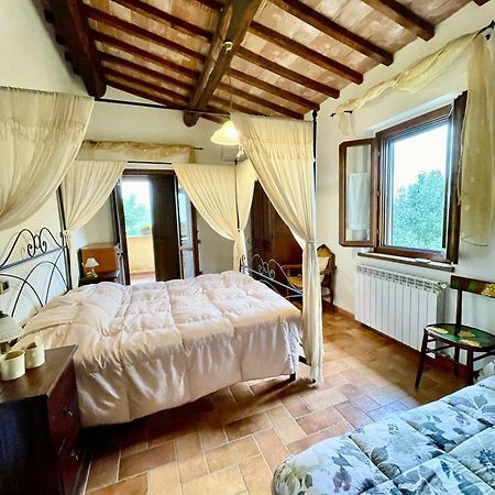 Вилла La Casa Di Gelsomino Масса-Мартана Экстерьер фото