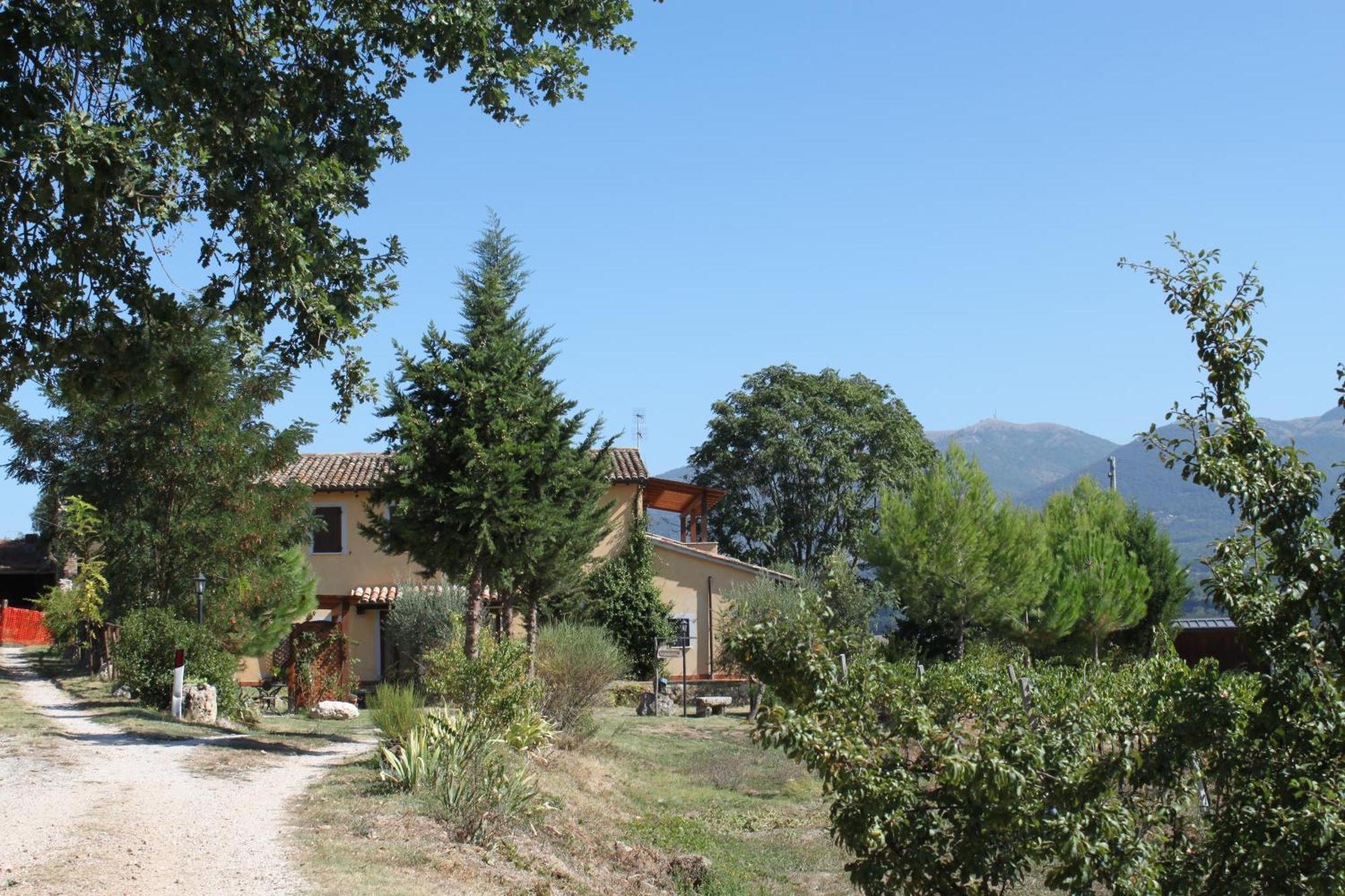 Вилла La Casa Di Gelsomino Масса-Мартана Экстерьер фото